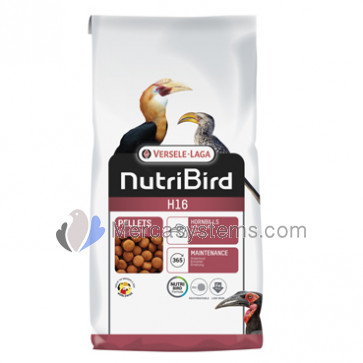 Versele Laga NutriBird H16 10kg. Maintenance food for hornbills.