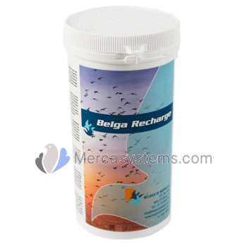 Belgica De Weerd Belga Recharge 300gr (Proteins for faster recovery). For pigeons 