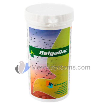Belgica De Weerd BelgaBac 300gr Tube (probiotic electrolytes). Racing Pigeon Products