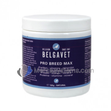 BelgaVet Pro-Breed Max Bird 150gr (high quality proteins, minerals and vitamins for breeding) For Birds.