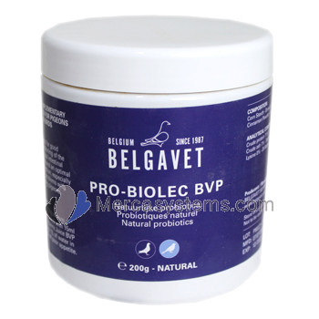 BelgaVet Pro-Biolec 200gr es un probiótico 100% natural, altamente eficaz para palomas de competición.