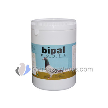 Bipal forte for Racing Pigeons