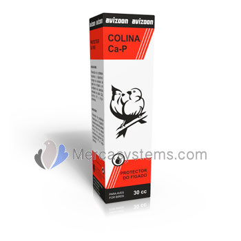Avizoon Pigeons Products, Colina Ca-P 30 ml