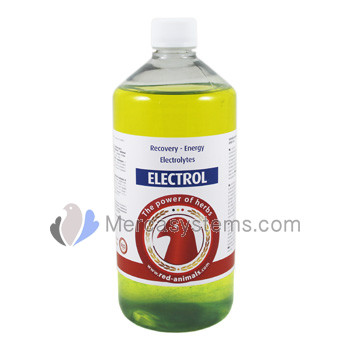 The Red Pigeon Electrol 1L, (recovery - Energy Electrolytes)