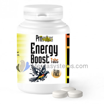 Prowins Energy Boost Pills