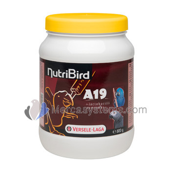 NutriBird A 19 800gr (complete birdfood for hand-rearing of macaws, eclectus, hawk-headed parrots, African grey parrots and other babybirds)
