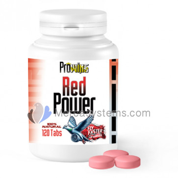 Prowins Red Power Caps 120 tabs