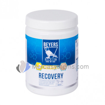 Beyers Recovery 600gr, (recovery after flights)