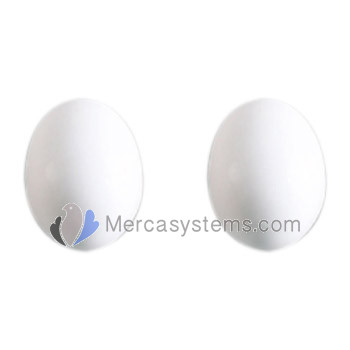 STA Big plastic egg for pigeon
