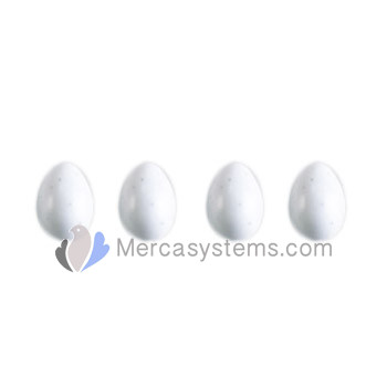STA Small plastic egg for canary